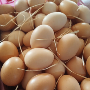 تخم مرغ محلی 50 عددی